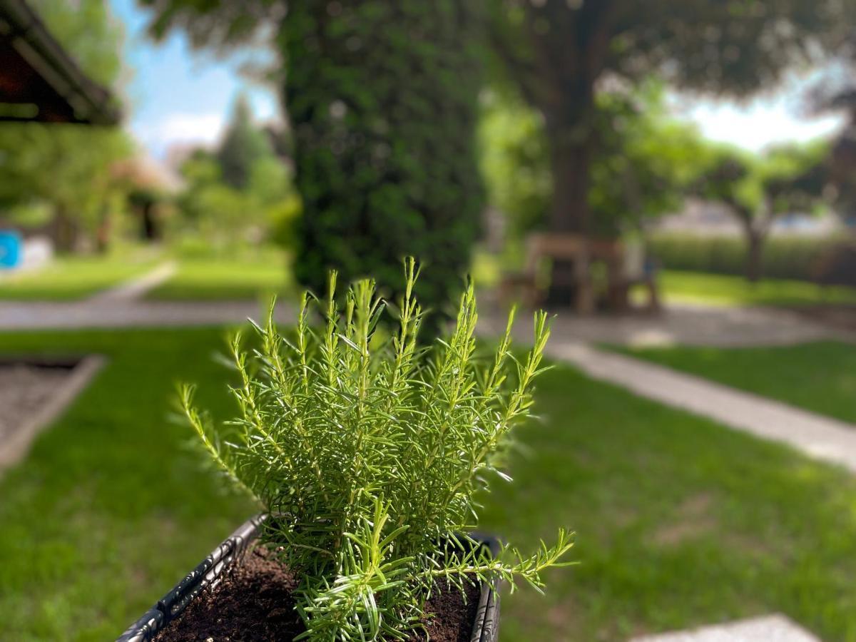 Šenčur Green Oasis Garden מראה חיצוני תמונה