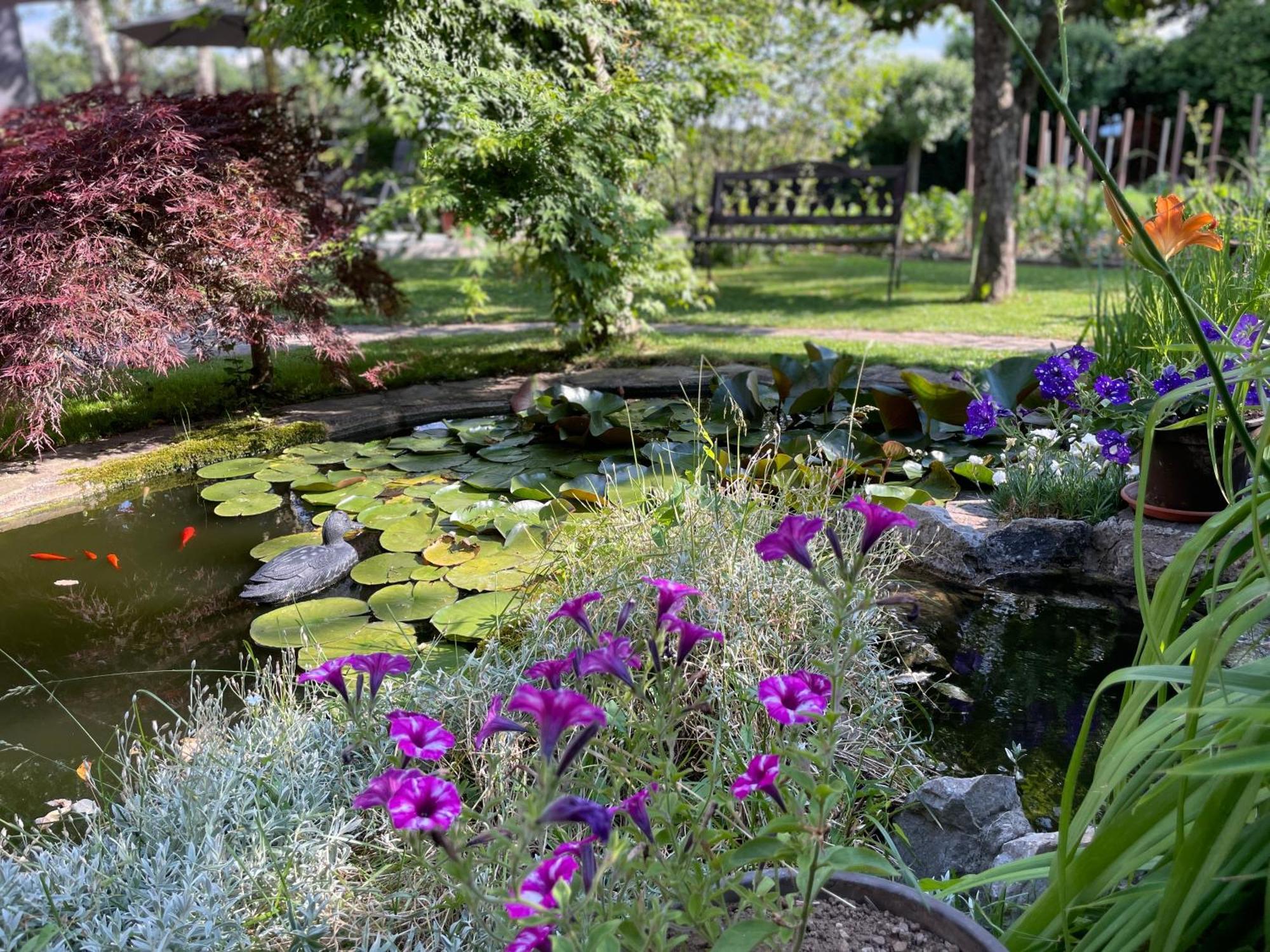 Šenčur Green Oasis Garden מראה חיצוני תמונה