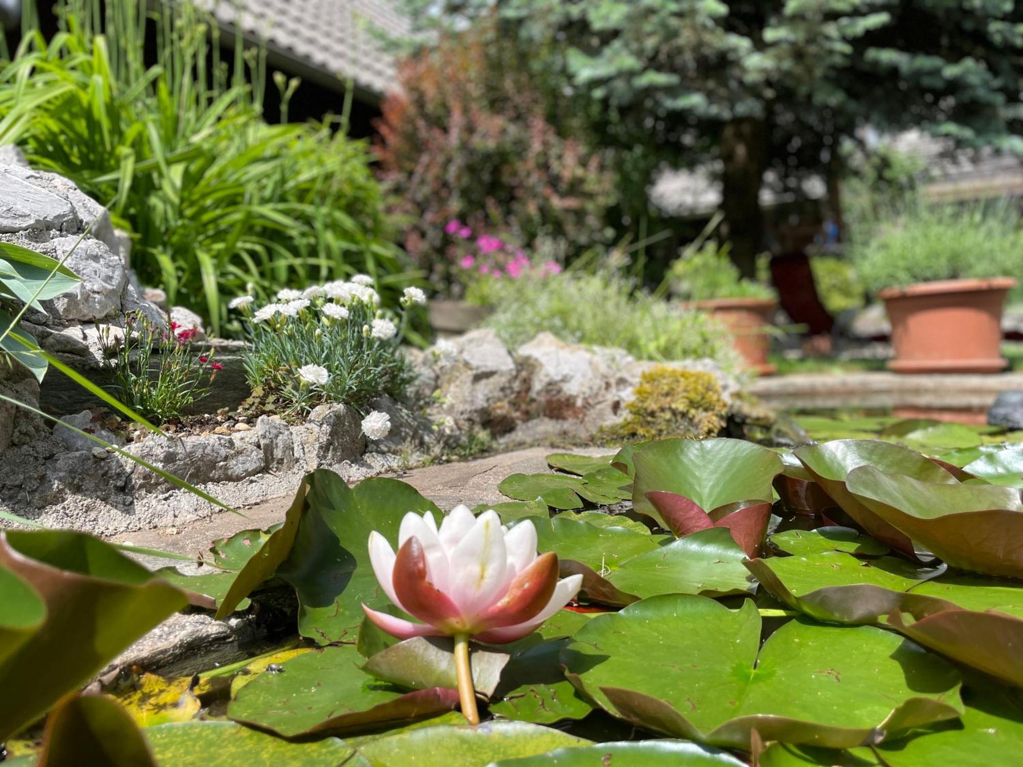 Šenčur Green Oasis Garden מראה חיצוני תמונה