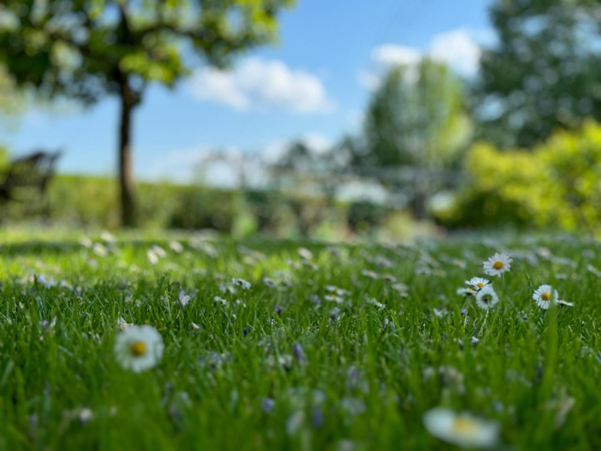 Šenčur Green Oasis Garden מראה חיצוני תמונה