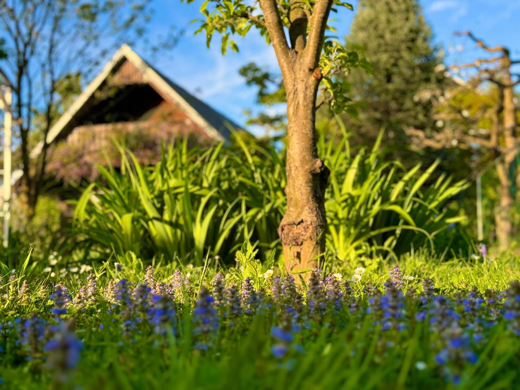 Šenčur Green Oasis Garden מראה חיצוני תמונה