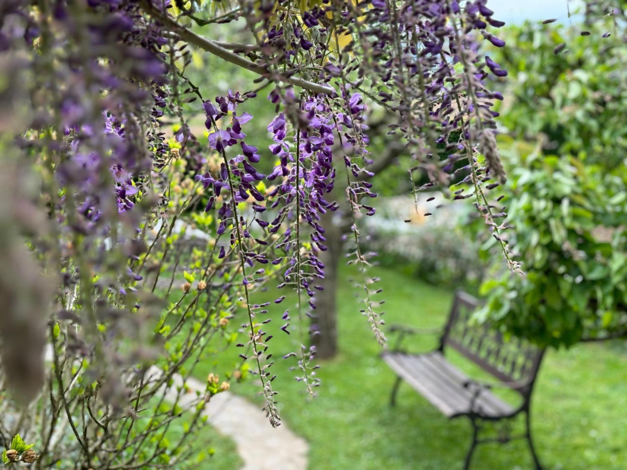 Šenčur Green Oasis Garden מראה חיצוני תמונה